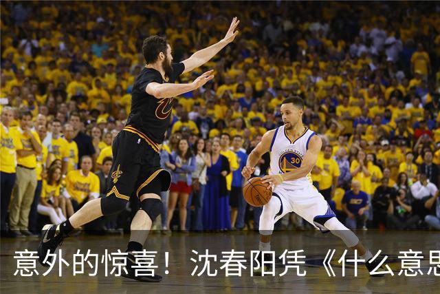 意外的惊喜！沈春阳凭《什么意思夫妇》展现出色导演才华